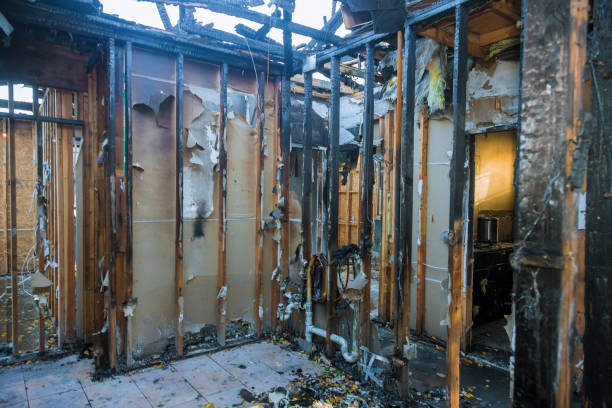 Professional Structural Rebuild technician working in Port Charlotte, FL